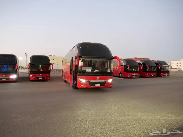 باصات 50 راكب للايجار 4