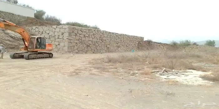 دوسان 2011 3