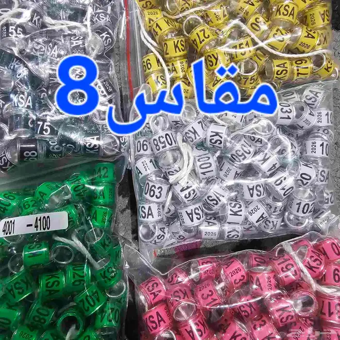 حجول حمام 2026 1