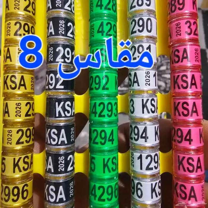 حجول حمام 2026 0