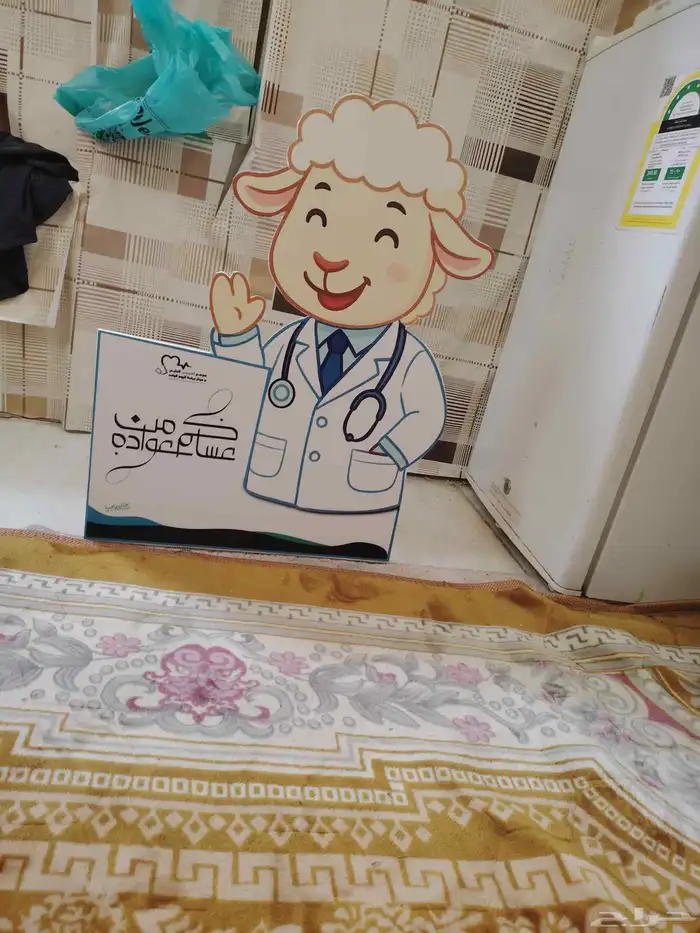 رسم جدران بالمدارس والروضات رسم لوحات مدرسية _مجسمات رسم هند 27