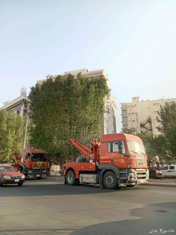 قص نخل وترتيب حدائق وعمل احوض زراع 1