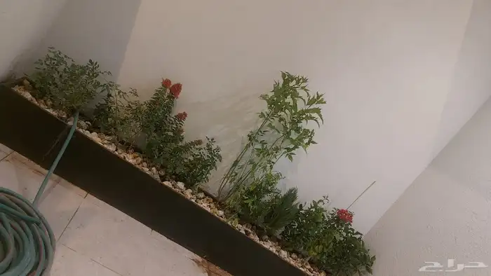 تنسيق حدائق طبيعي وصناعي وتركيب جميع شبكات الري والضباب05440 4