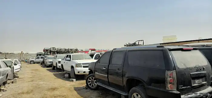 جميع انواع الجموس موجود اسعارطيبه للتواصل 2