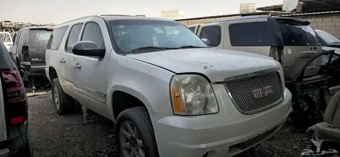 جميع انواع الجموس موجود اسعارطيبه للتواصل 3