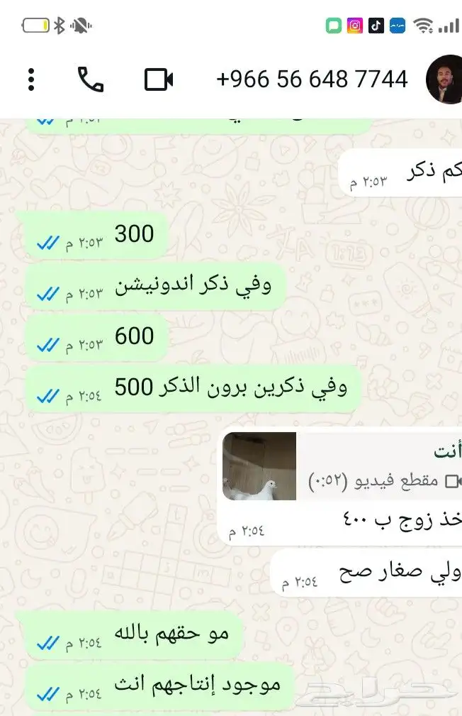 حمام فرش موندين 10