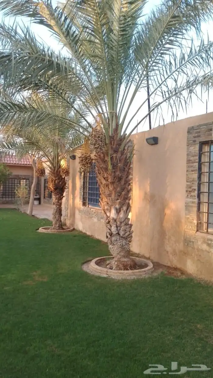 تنسيق حدائق طبيعي وصناعي وتركيب جميع شبكات الري والضباب05440 6