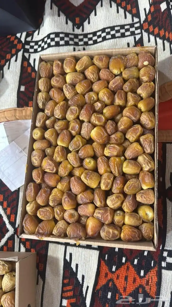 يوجد لدينا سكري رطب 1000 كرتون السعر 20 ريال الموقع الزلفي 1