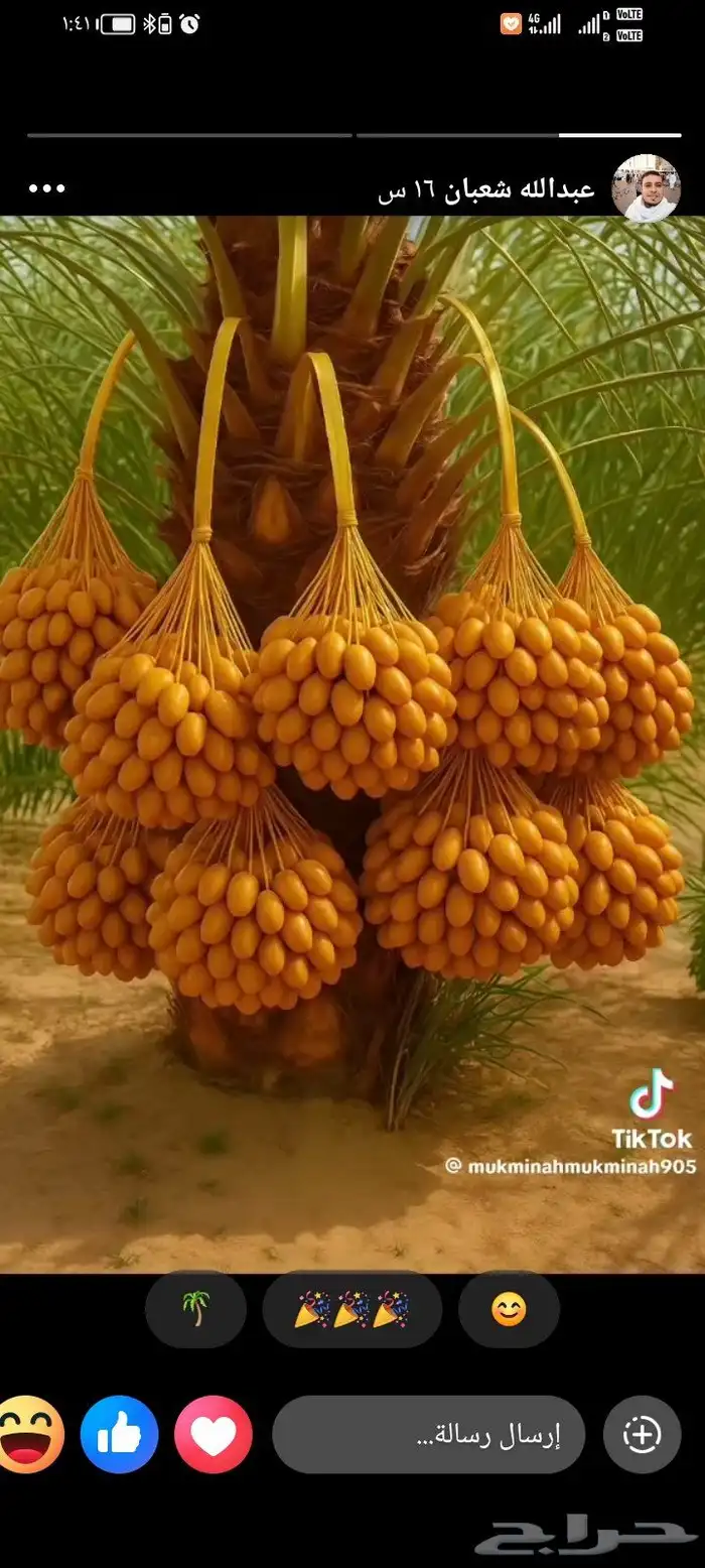 قص نخل وترتيب حدائق وعمل احوض زراع 0