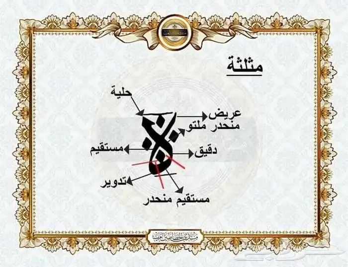معلم ومدرب للخط العربي. 6