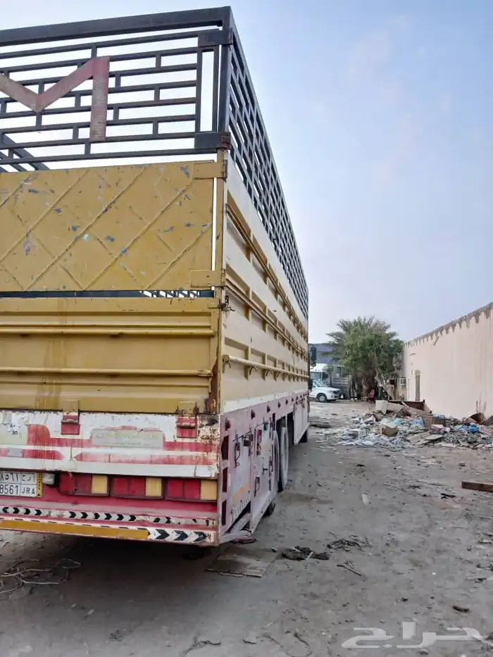 مان سكس 10 متر 2