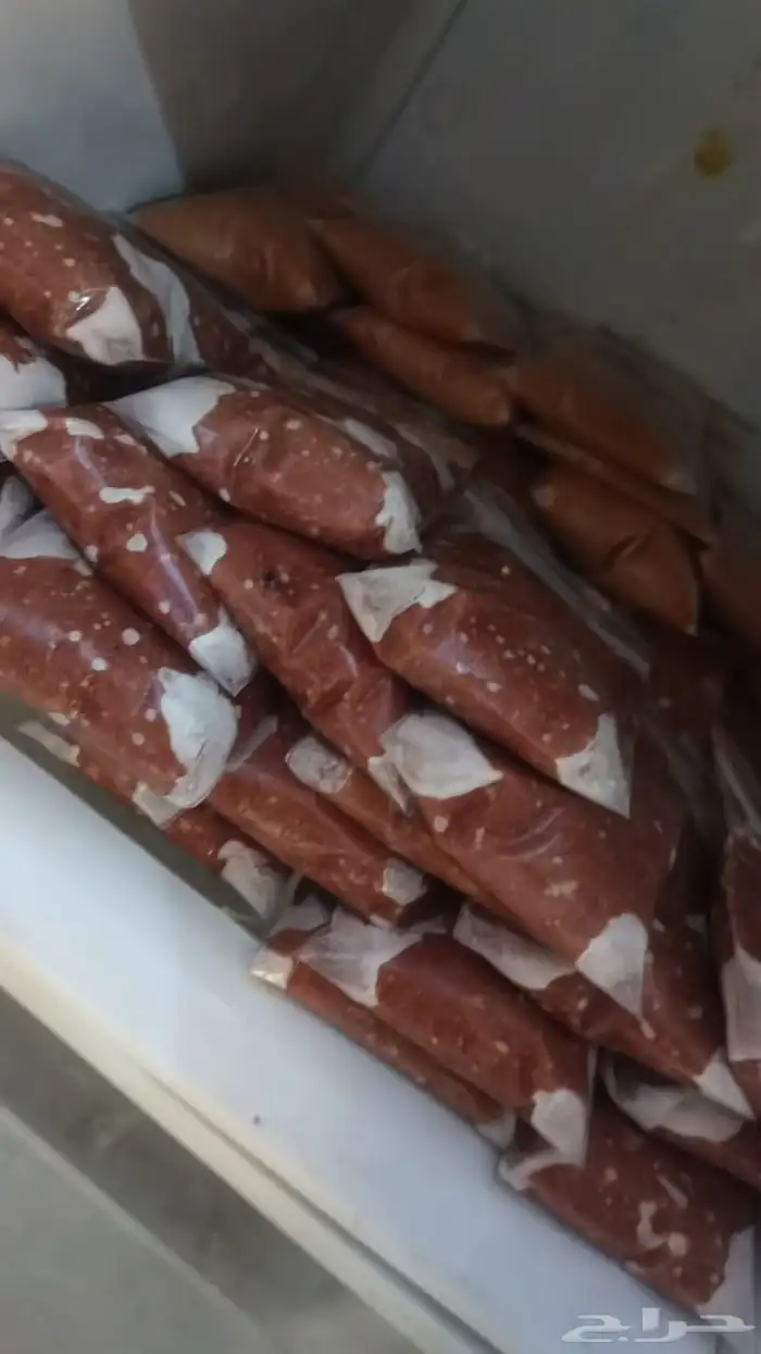 معلبات القطط الصحيه (الرو فود) نشحن لجميع مناطق المملكة 1