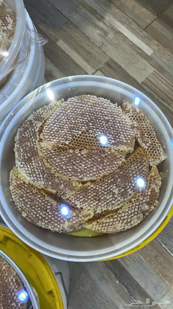 عسل الطلحه من مناحل عسل السدر الصافي 2