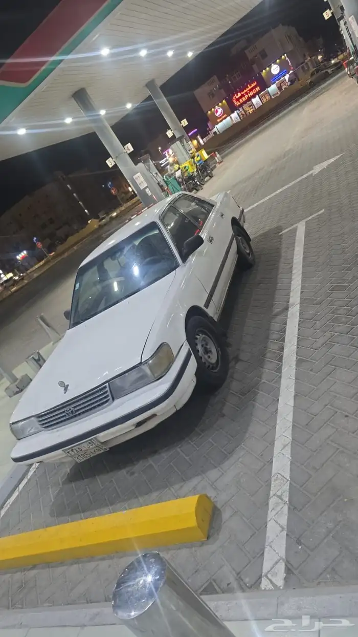 كرسيدا مويل 1993 1