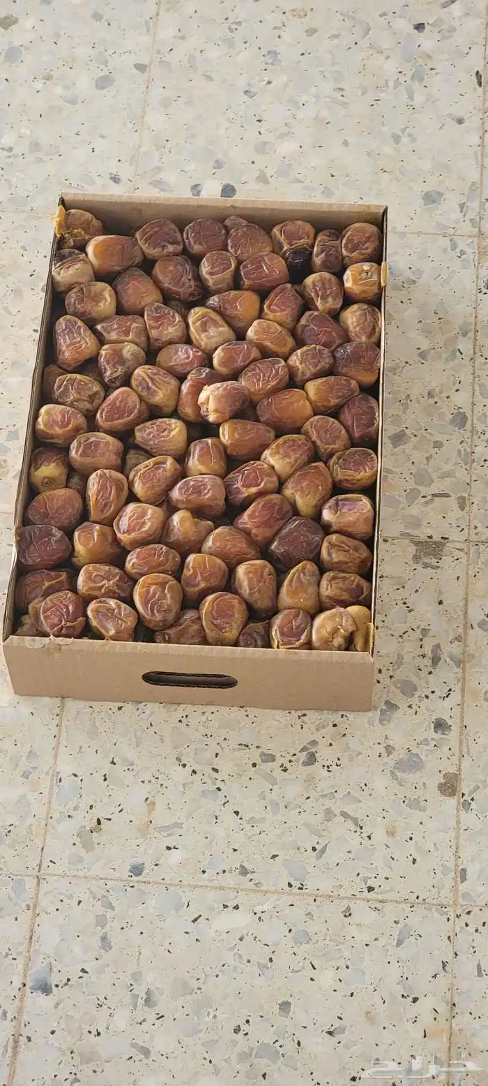 يوجد لدينا سكري رطب 1000 كرتون السعر 20 ريال الموقع الزلفي 0