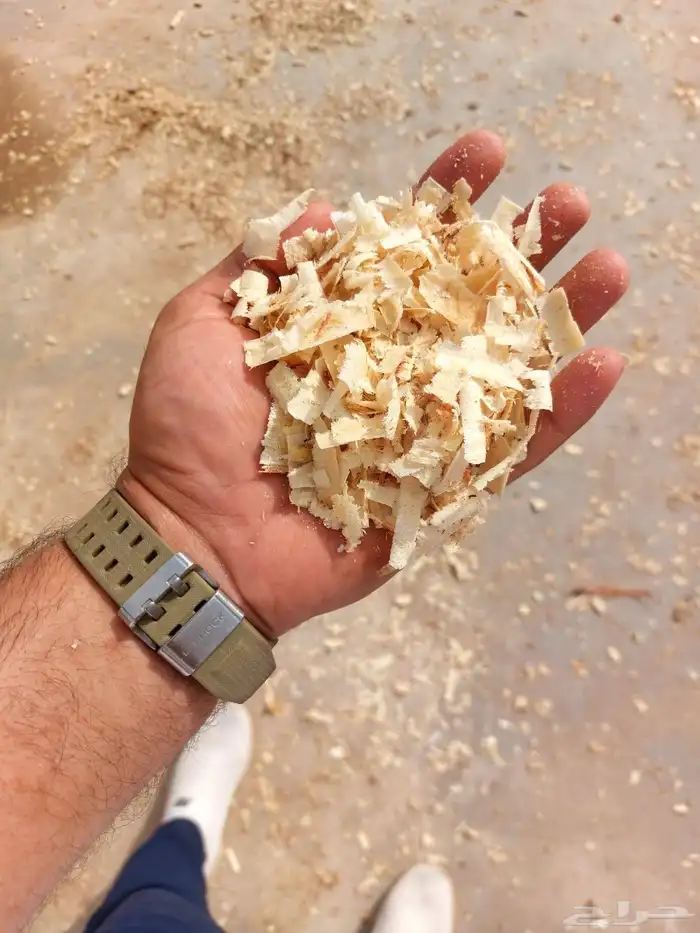 نشاره خشب للدواجن والخيول 0