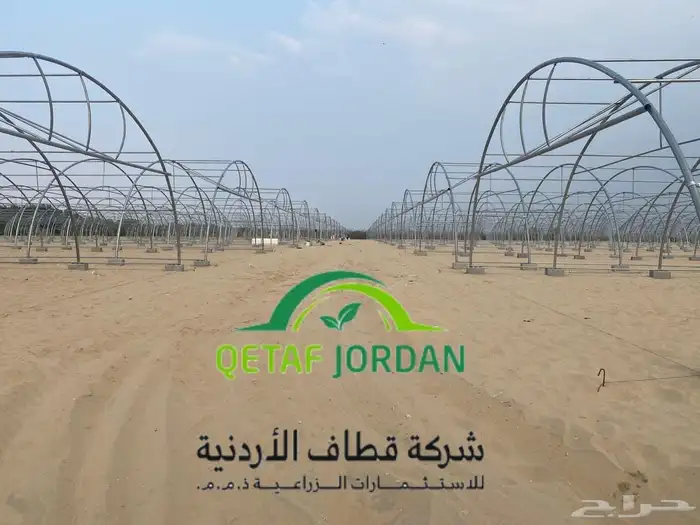 بيوت محمية باسعار خاصة لفترة محدودة 2