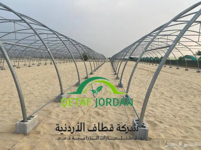 بيوت محمية باسعار خاصة لفترة محدودة 3
