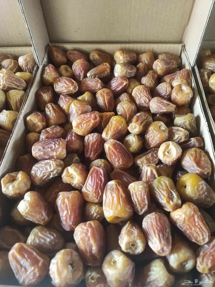 تمر من مزرعتي عضوي بدون كيماوي 8