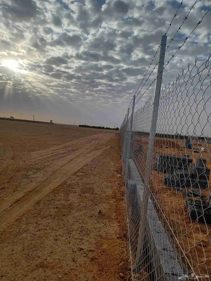 تركيب السياج الأمني الحديدي الشبوك و زراعة النخل والمظلات وا 8
