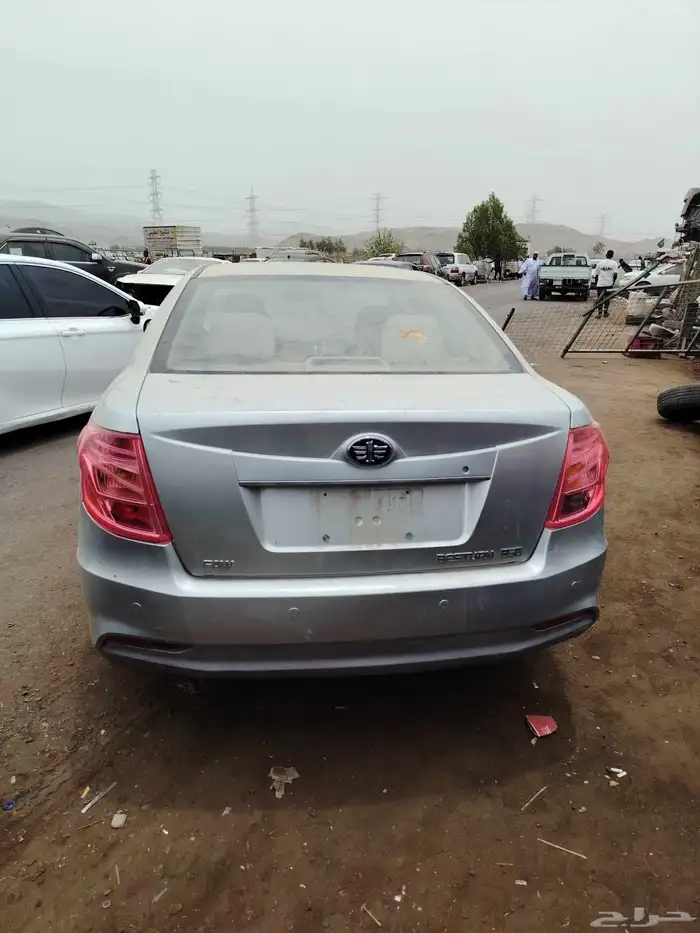 فاو B50 1