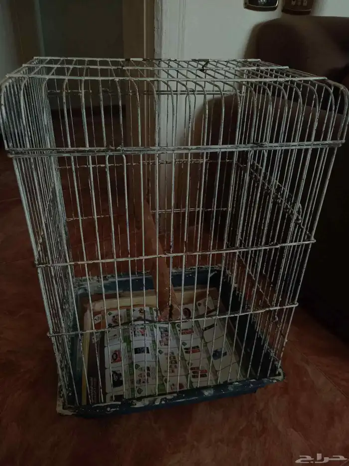 قفص لطيور 2