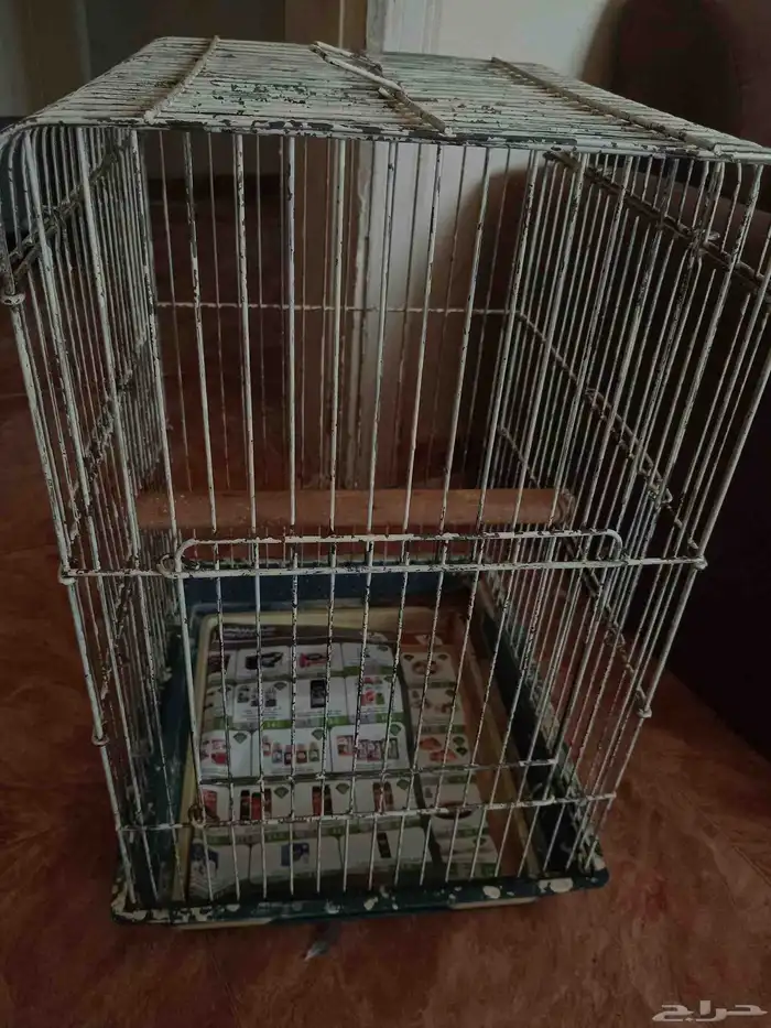 قفص لطيور 1