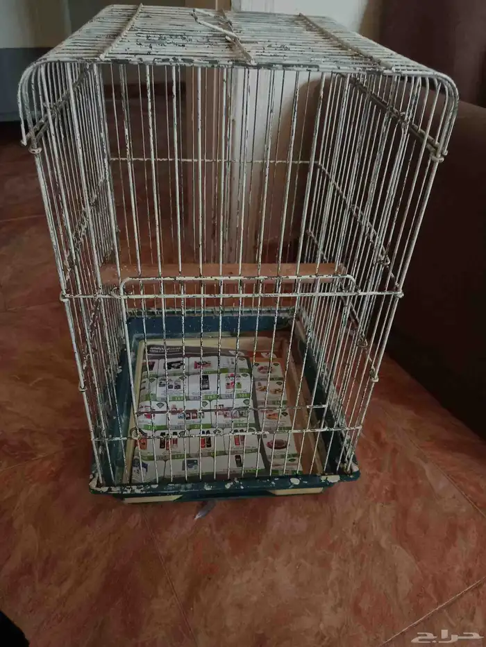قفص لطيور 0