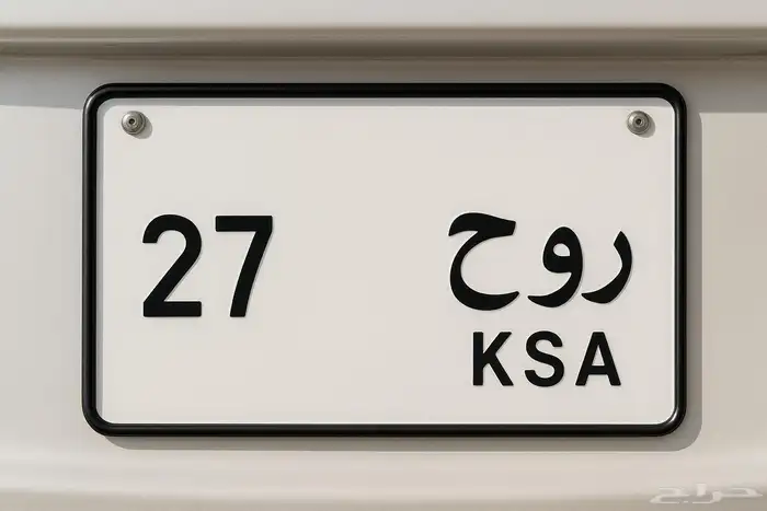 لوحة روح 27 على ددسن 95 خصوصي للبيع 0