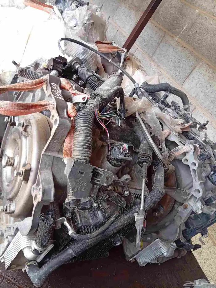 قيرات ازيرا مستورد _(4) 1