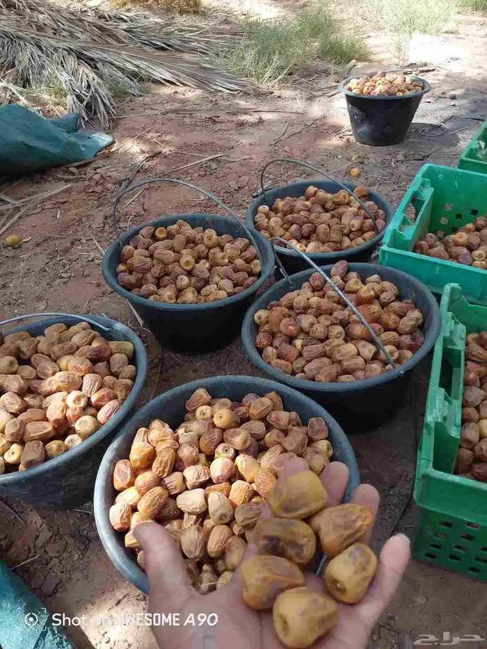 عمال خرافين 0