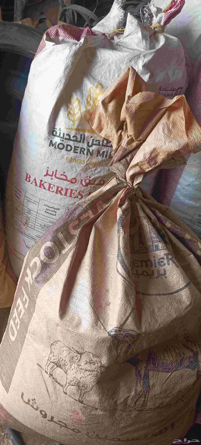 البيع عزمه 2