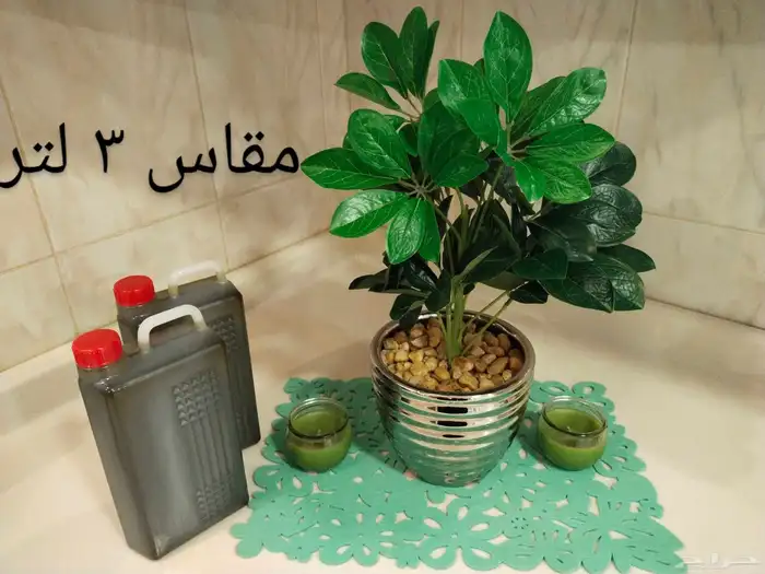 زيت زيتون فلسطيني جبلي نابلسي بعل على المطر عضوي 8