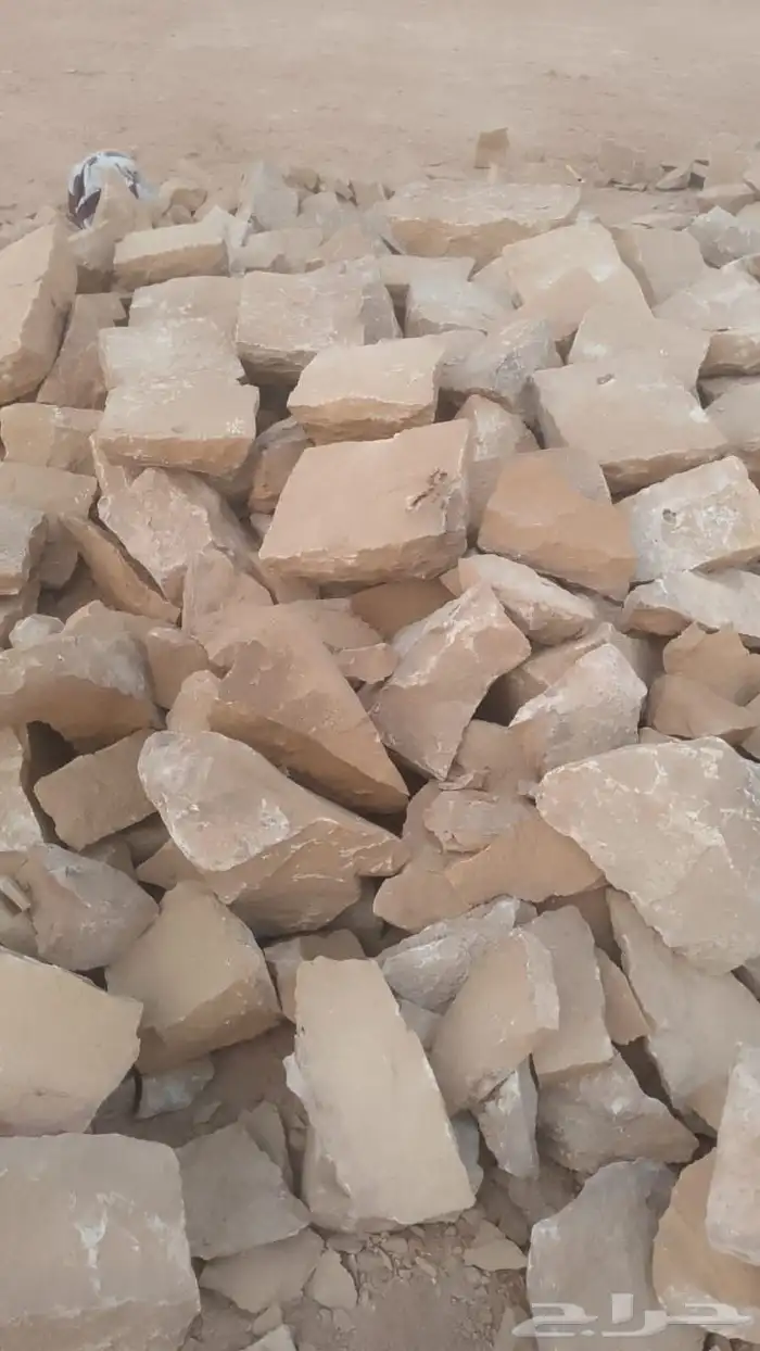الرياض 1