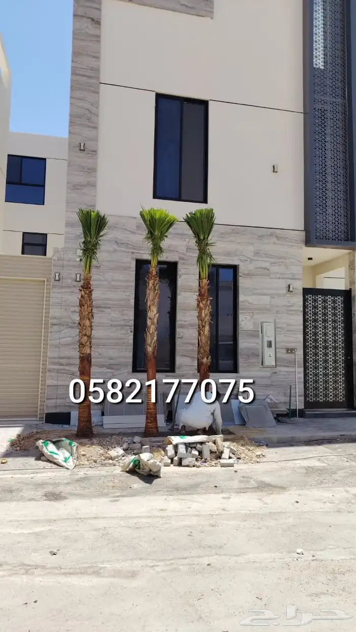 نخل عربي وشنطني لبيع 0