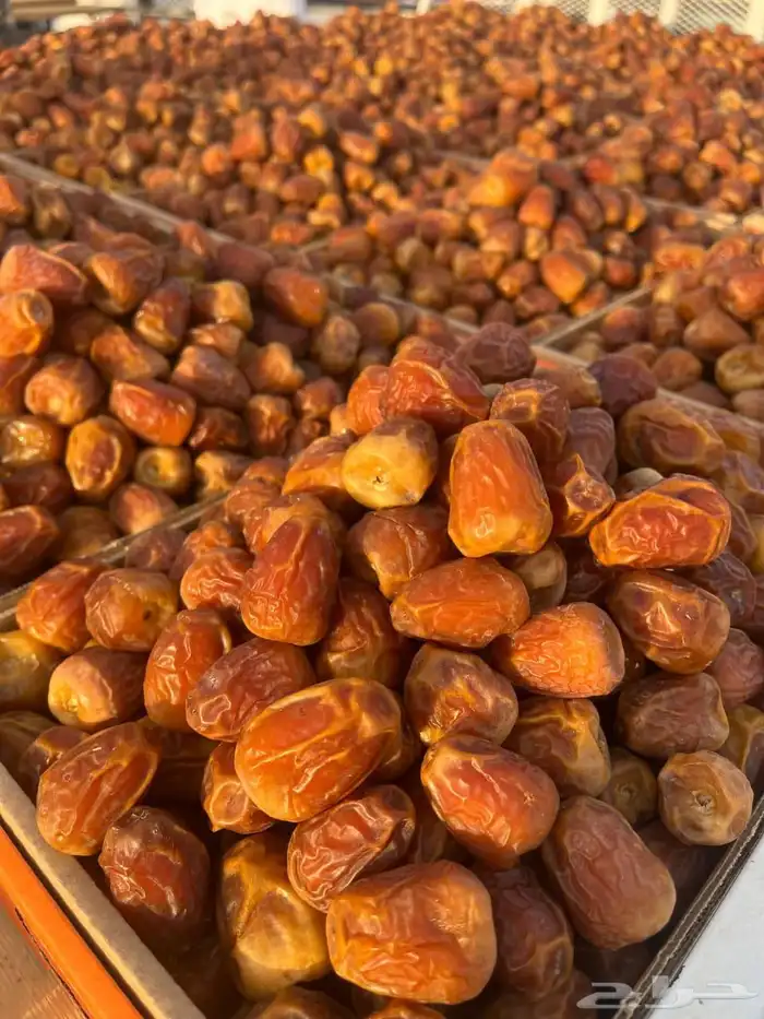 تمور القصيم على الطلب 0