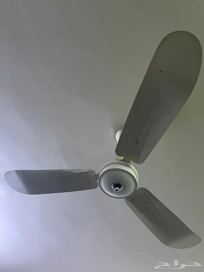 فيش تليفون ومروحة وساعة الطيبين 1