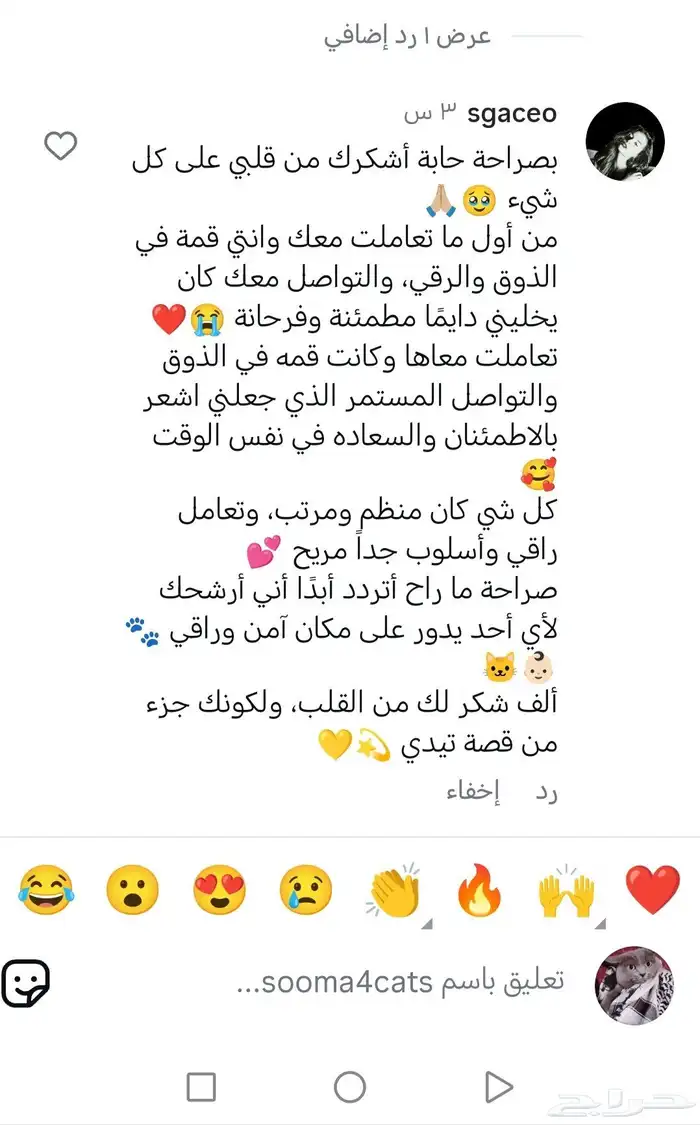 قطط. فندقه قطط منزليه.. استضافه 4