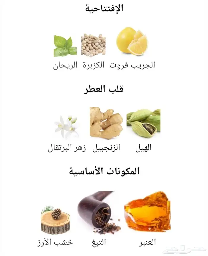 مستعمل عطر دولتشي اند غابانا ذا ون الأصلي 2