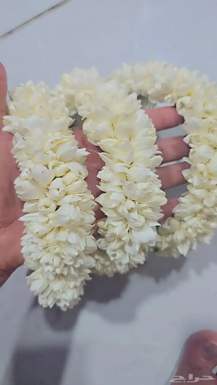 محل بيع الفل والخطور والكاذي في الرياض 9