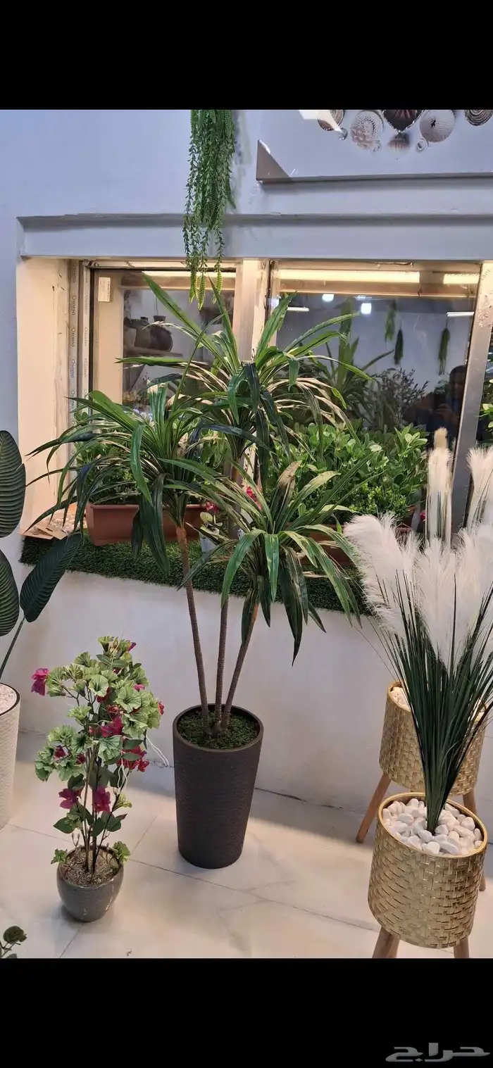 أشجار زينة 2