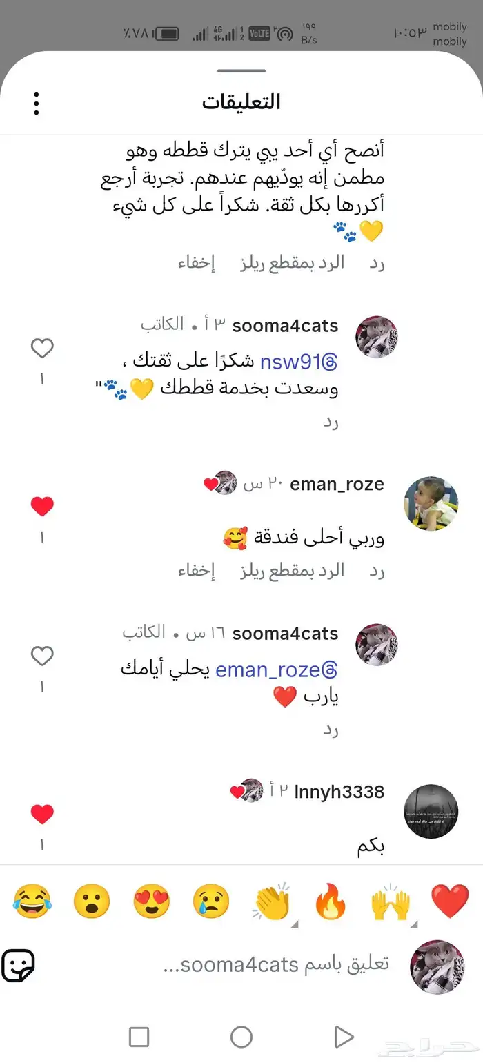 قطط. فندقه قطط منزليه.. استضافه 7