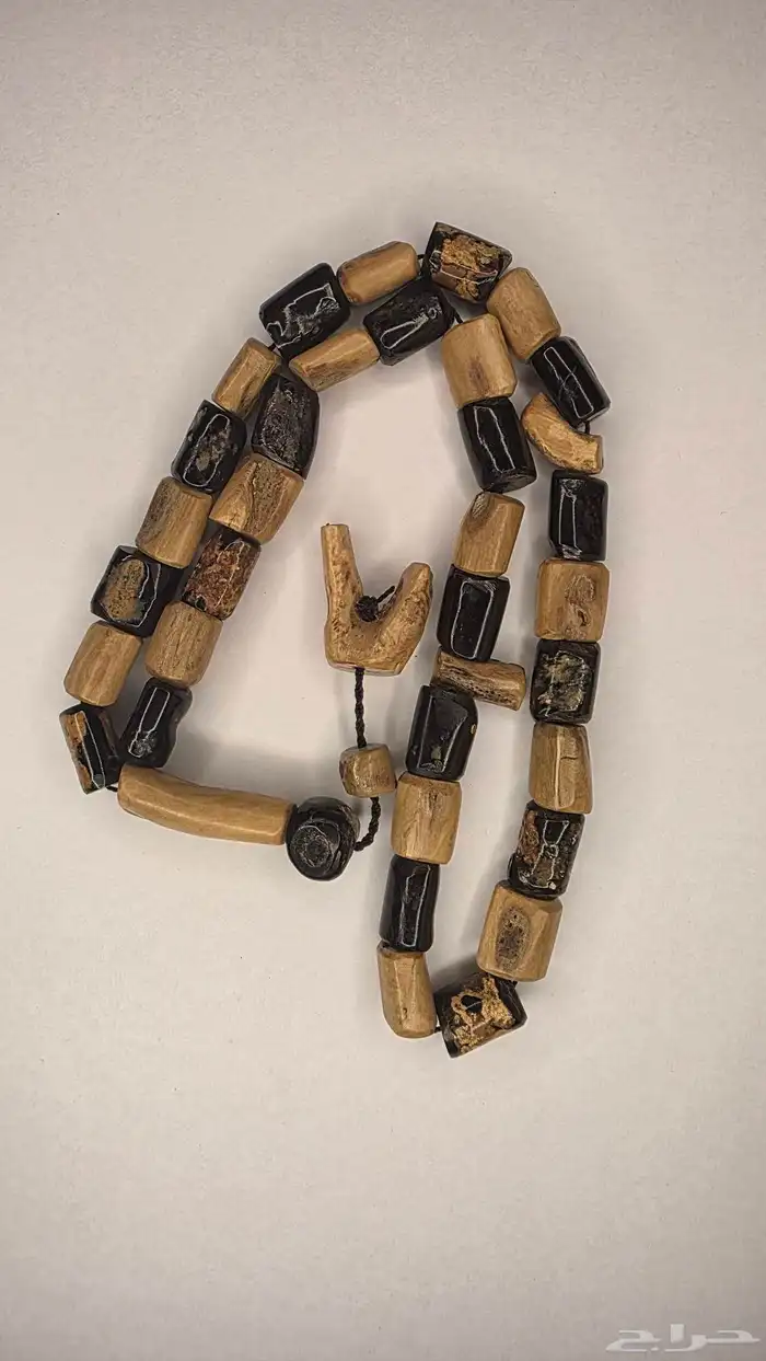 مسباح من النوادر يسر البحر الاحمر مميز 3