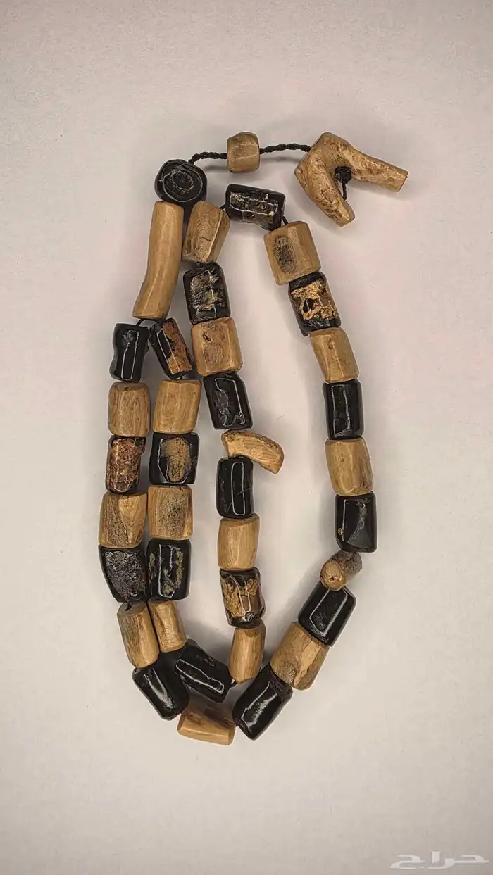 مسباح من النوادر يسر البحر الاحمر مميز 6