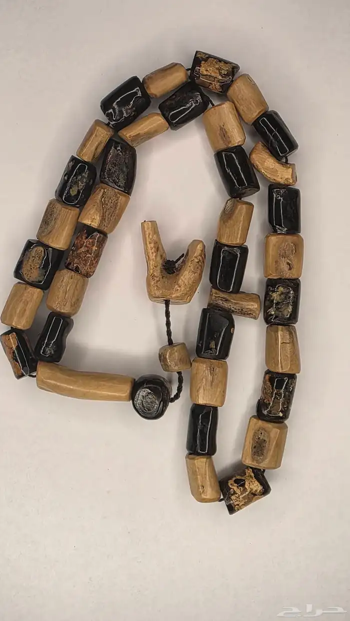 مسباح من النوادر يسر البحر الاحمر مميز 4