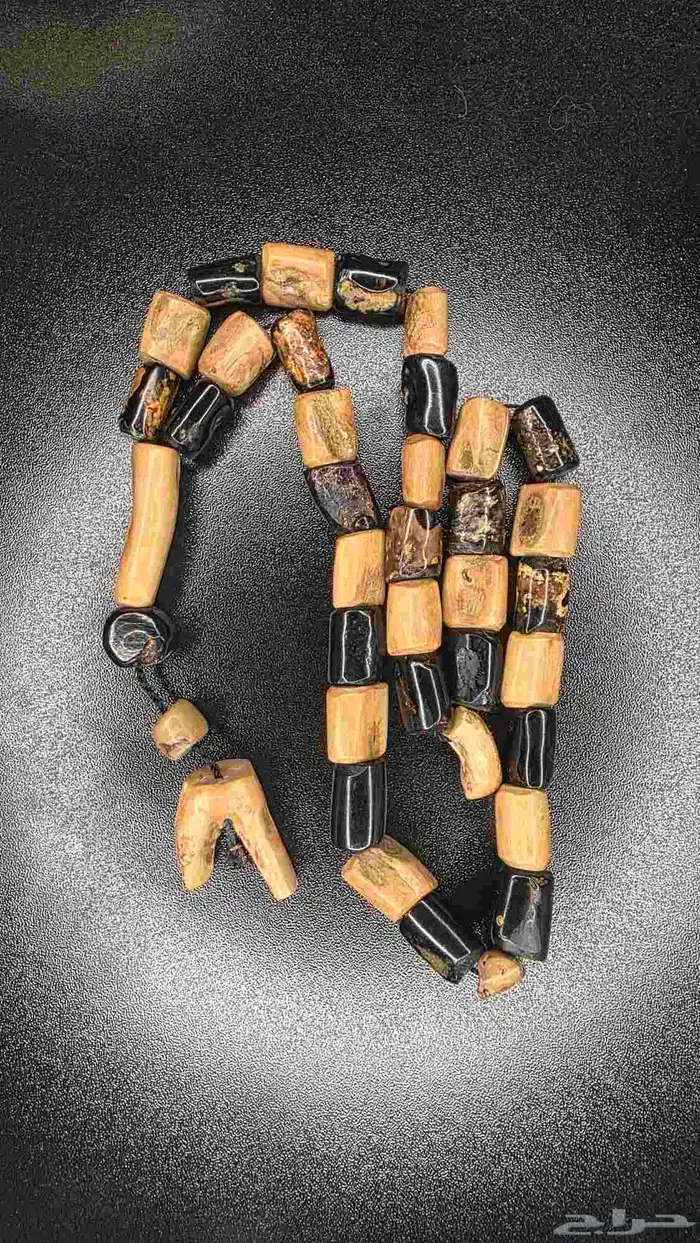 مسباح من النوادر يسر البحر الاحمر مميز 0