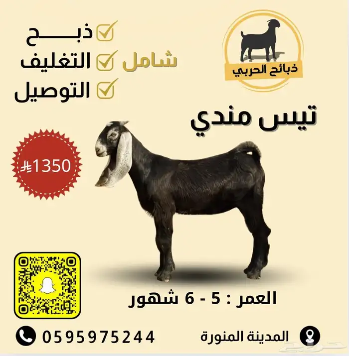 الحربي للذبائح 8