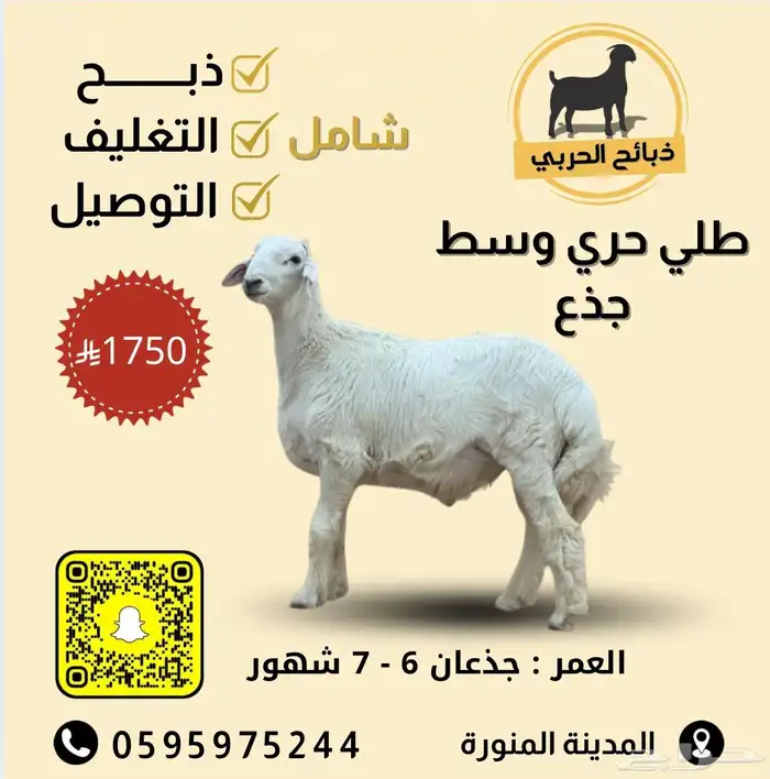 الحربي للذبائح 4