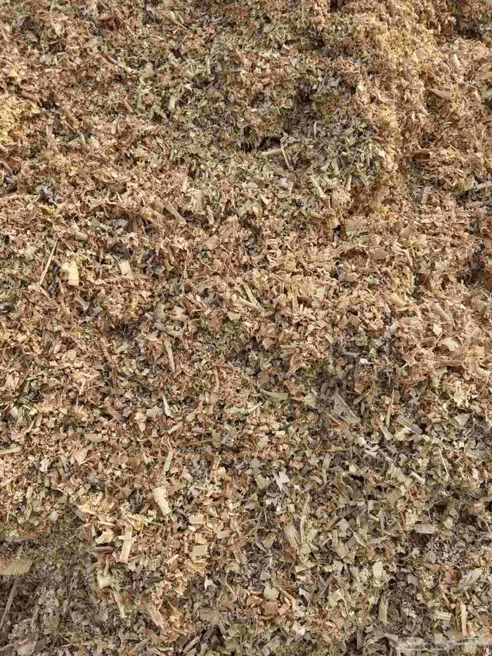يوجد لدينا نشارة خيل فاخرة 2