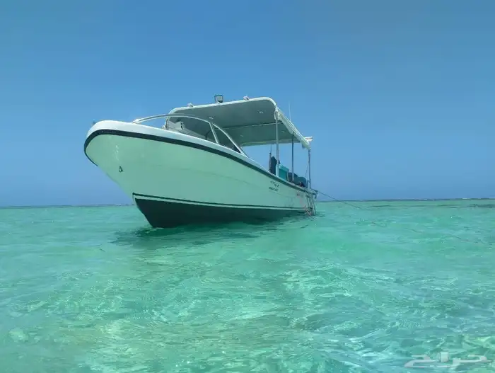 رحله بياضه 6 ساعات سباحه وتشميس وسحب 5